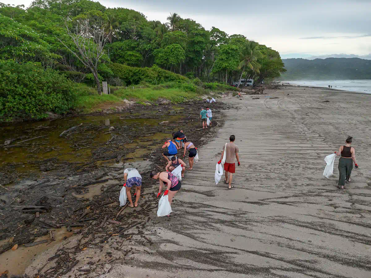 Beach Cleanup